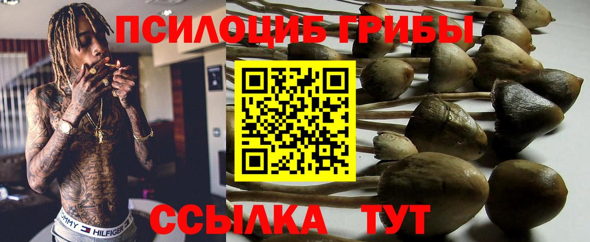 Галлюциногенные грибы Psilocybe  Галлюциногенные грибы мухоморы  Михайловка  Вход с VPN 