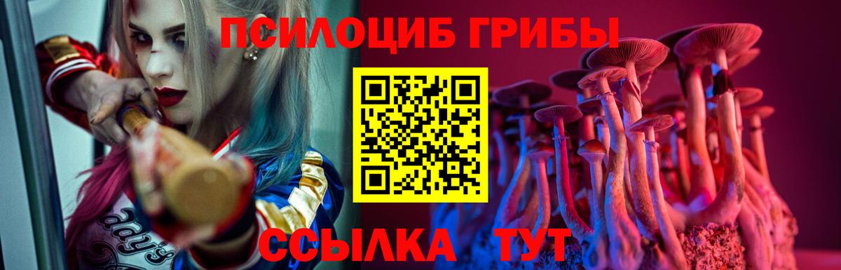 Псилоцибиновые грибы MAGIC MUSHROOMS Михайловка